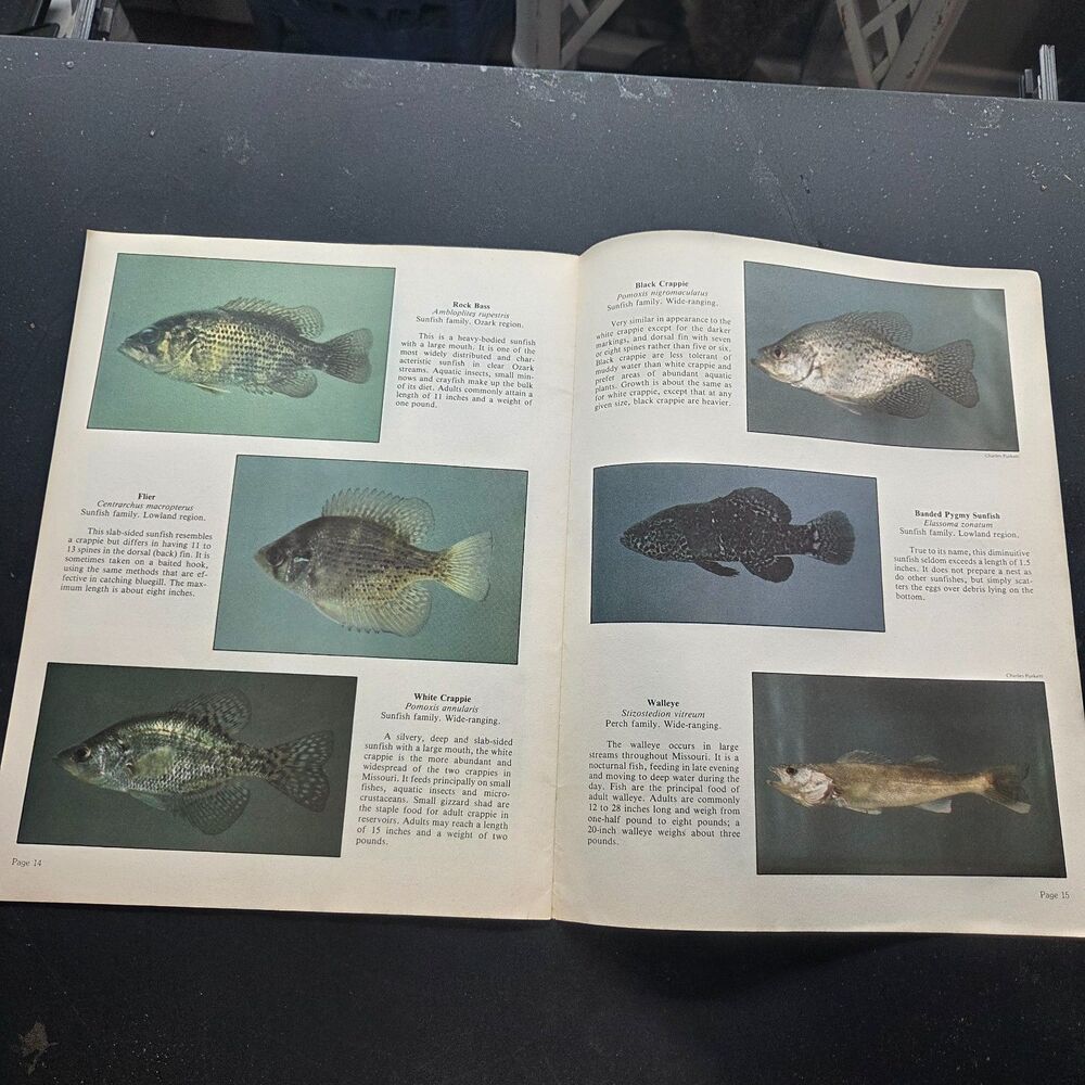 Vintage Missouri Ozark Waterways Fishing Books Fish Guide Conservation Lot - Picture 9 of 9